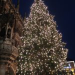 Weihnachtsbaum-vor-dem-Rathaus