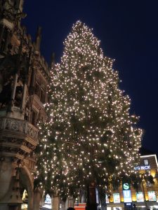 Weihnachtsbaum-vor-dem-Rathaus